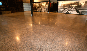 Polished Concrete Floors Cairns Cruise Liner Terminal